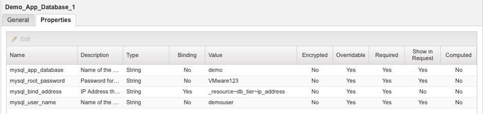 Database custom property mapping